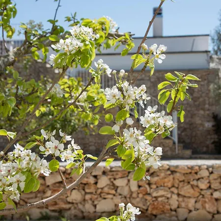 Masseria Faresalento Séjour à la ferme